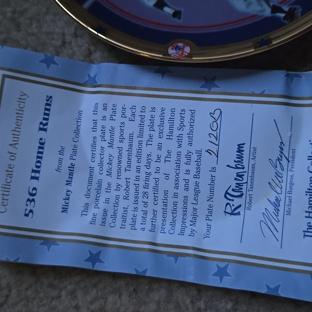 Collectable Baseball Plate - Picture 2 of 6
